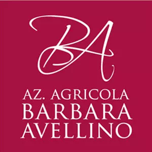 Barbara Avellino