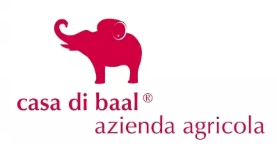 Casa Di Baal